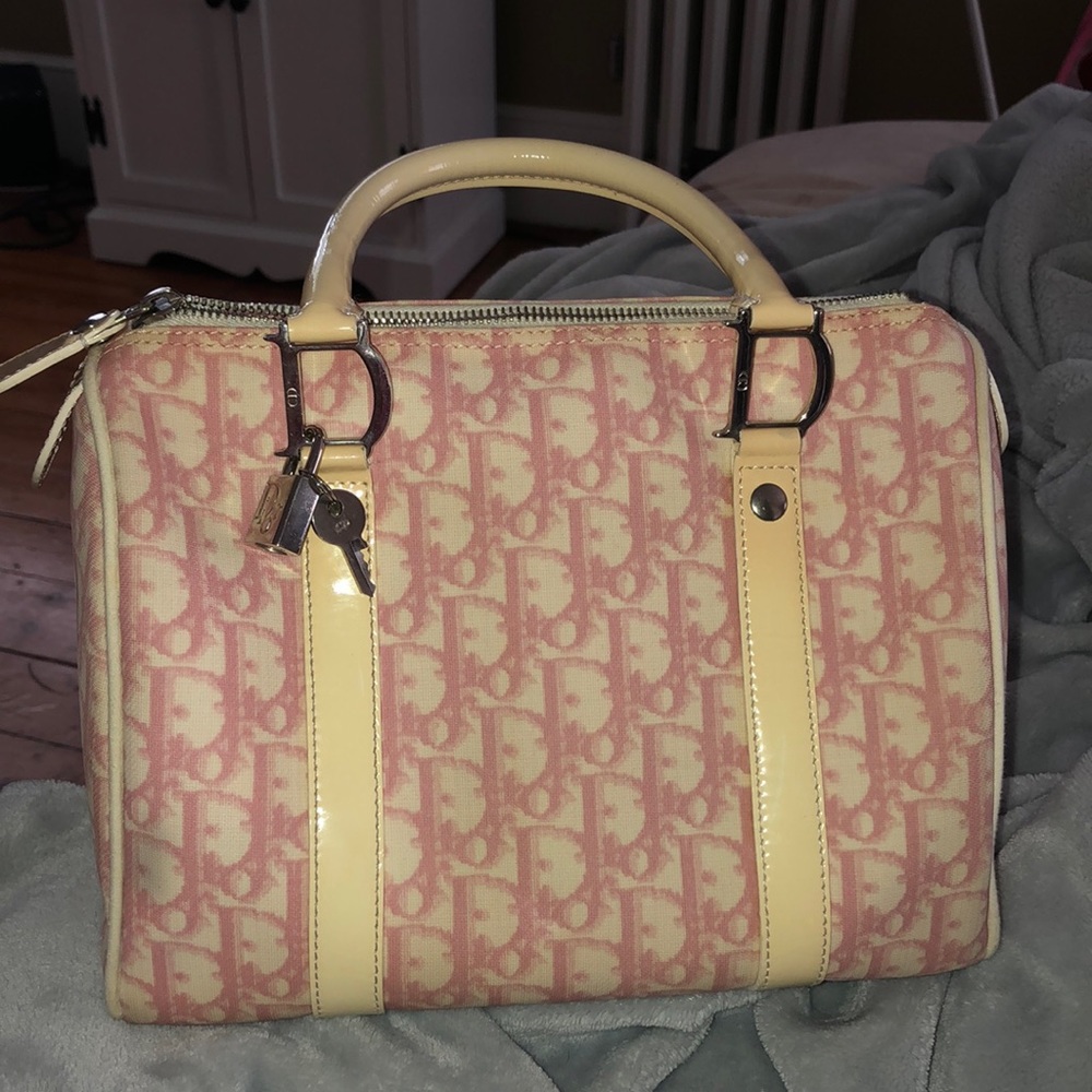 Dior trotter bag